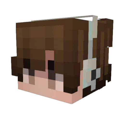 TheElysianPlane Minecraft avatar head, 3D render