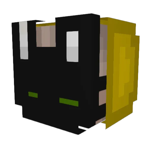 TheEnderCatMCPC Minecraft avatar head, 3D render