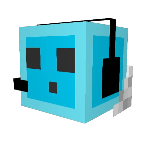 TheEnderSlayer10 Minecraft avatar head, 3D render