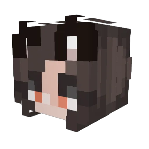 TheEnigma405 Minecraft avatar head, 3D render
