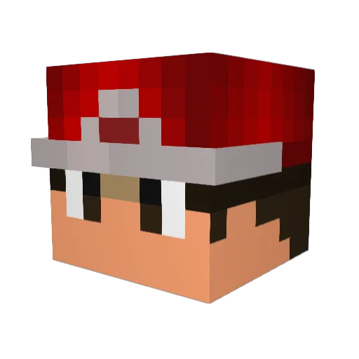 TheEnigmaKilla Minecraft avatar head, 3D render