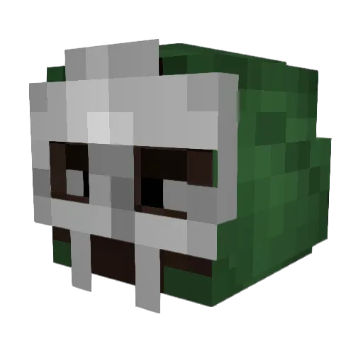 TheEpicChar22 Minecraft avatar head, 3D render