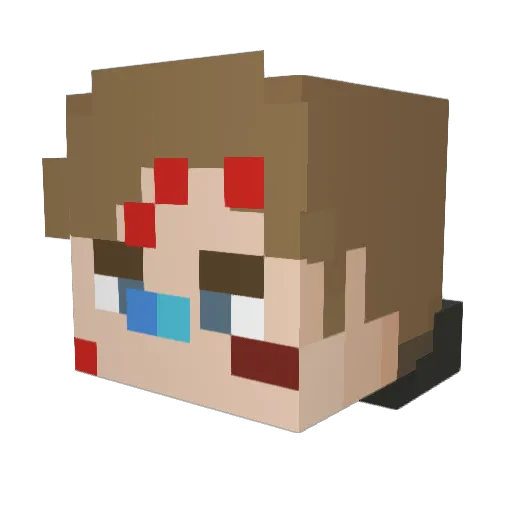 TheEpicToaster Minecraft avatar head, 3D render