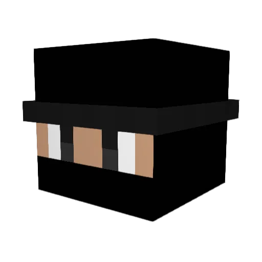 TheEpic__ Minecraft avatar head, 3D render
