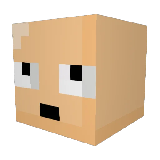 TheErikito Minecraft avatar head, 3D render