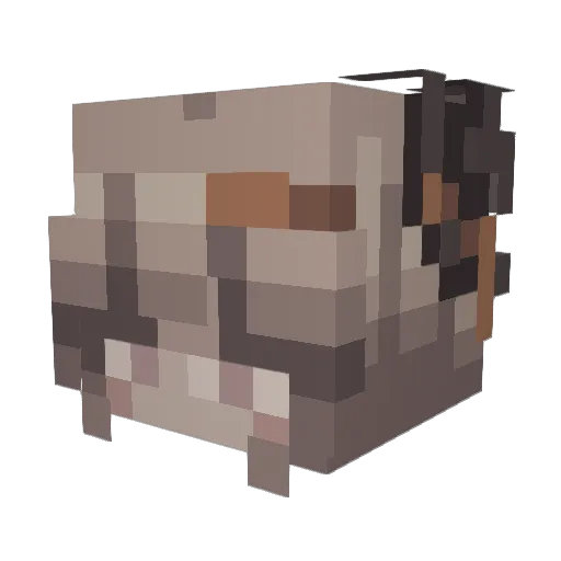 TheEternalOne_87 Minecraft avatar head, 3D render