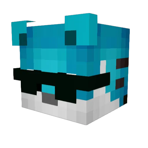 TheEtherion Minecraft avatar head, 3D render