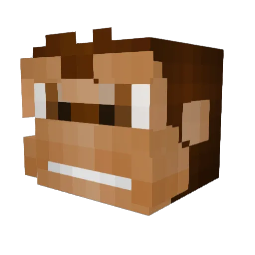TheEvan2004 Minecraft avatar head, 3D render