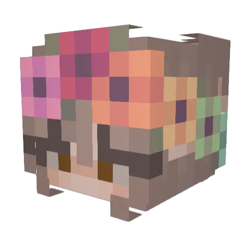 TheEvergreenTree Minecraft avatar head, 3D render
