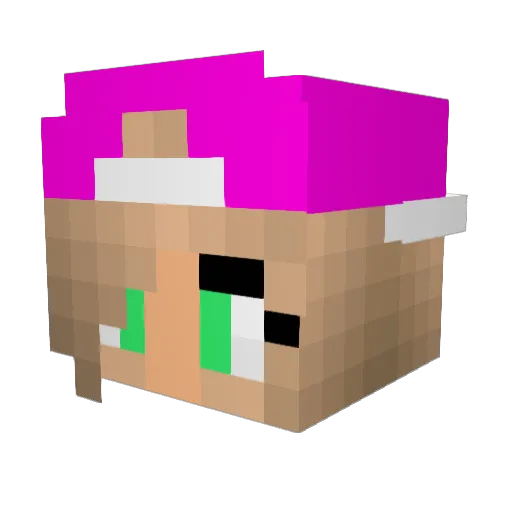 TheEvilInator Minecraft avatar head, 3D render