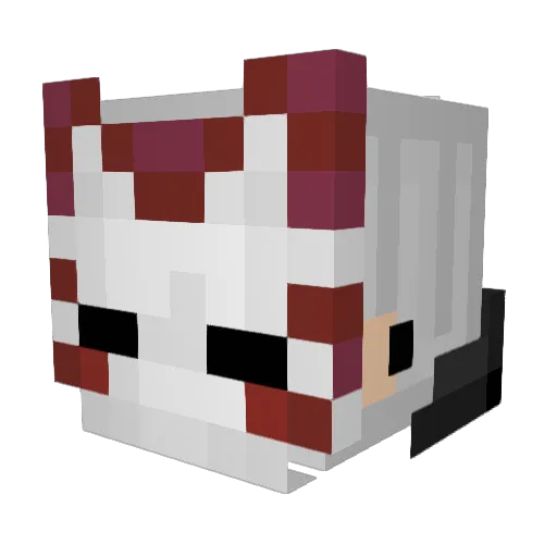 TheEvilPickle Minecraft avatar head, 3D render