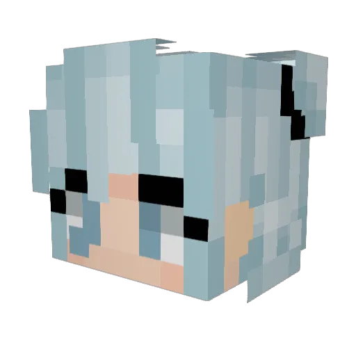TheEvilPoptart69 Minecraft avatar head, 3D render