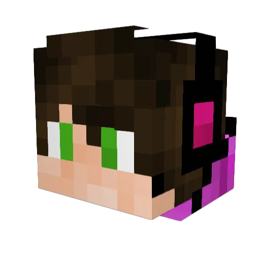 TheFabWarrior Minecraft avatar head, 3D render