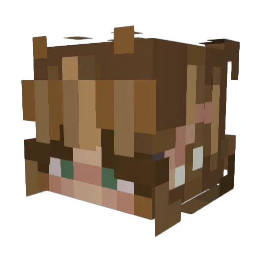 TheFaerie Minecraft avatar head, 3D render