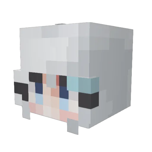 TheFalseKing11 Minecraft avatar head, 3D render