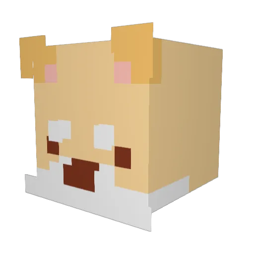 TheFatCatYT Minecraft avatar head, 3D render