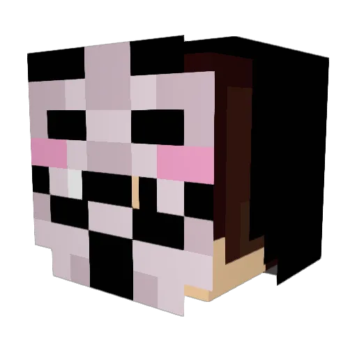 TheFatMan15 Minecraft avatar head, 3D render