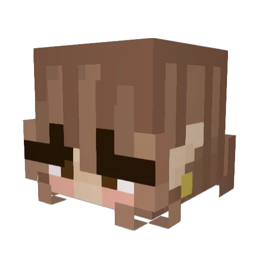 TheFatOfTheCatDH Minecraft avatar head, 3D render