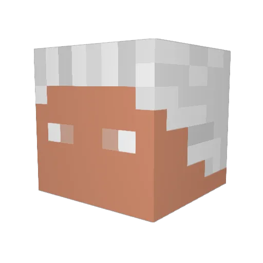 TheFatTarzan Minecraft avatar head, 3D render