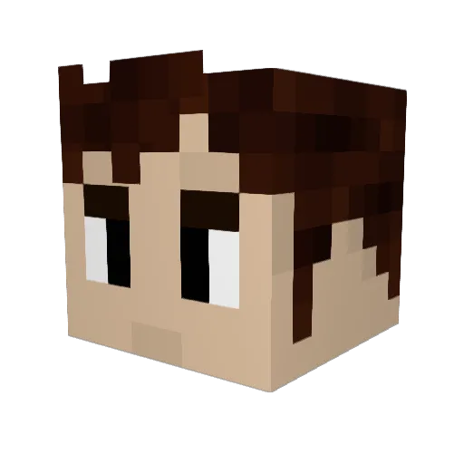 TheFeistyPanda Minecraft avatar head, 3D render