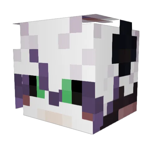 TheFeralCactus Minecraft avatar head, 3D render