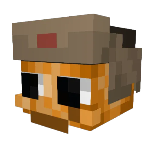 TheFighterAce Minecraft avatar head, 3D render