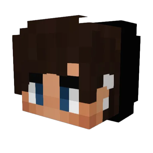 TheFilan Minecraft avatar head, 3D render