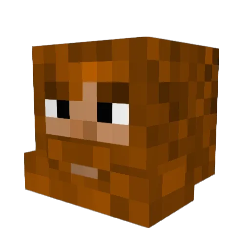 TheFin777 Minecraft avatar head, 3D render