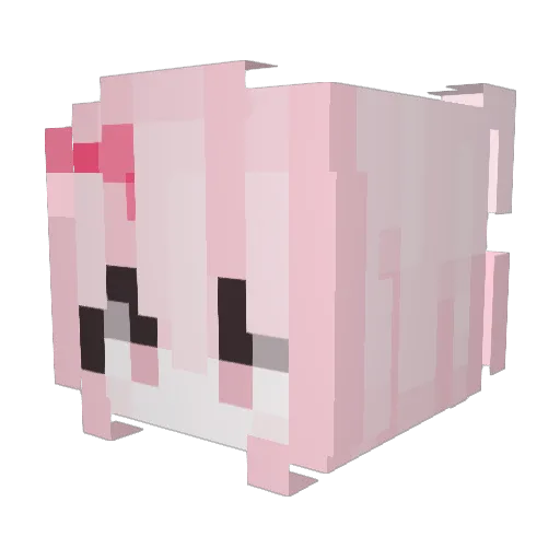 TheFinition Minecraft avatar head, 3D render