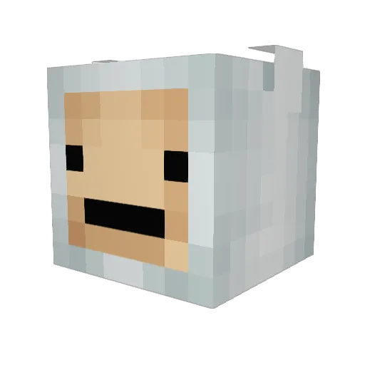 TheFirstCoconut Minecraft avatar head, 3D render