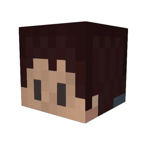 TheFischYT Minecraft avatar head, 3D render