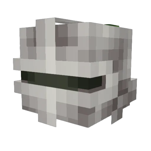 TheFishArmy87 Minecraft avatar head, 3D render