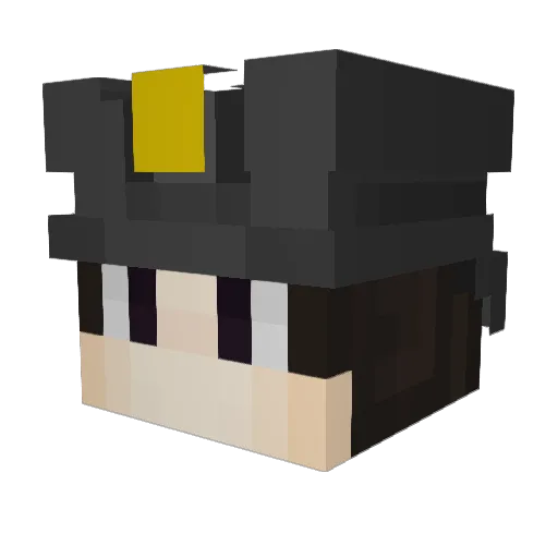 TheFishGoesMoo Minecraft avatar head, 3D render