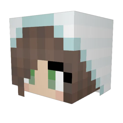 TheFishMonster Minecraft avatar head, 3D render