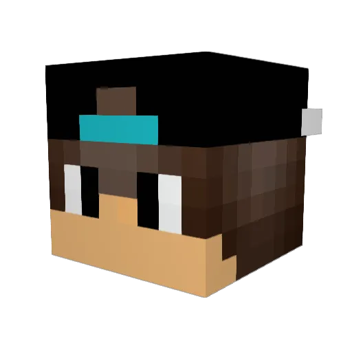 TheFishOfHam Minecraft avatar head, 3D render