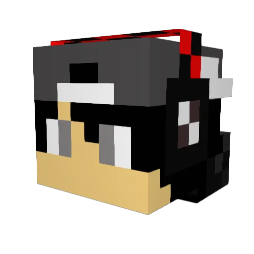 TheFlamingLion12 Minecraft avatar head, 3D render