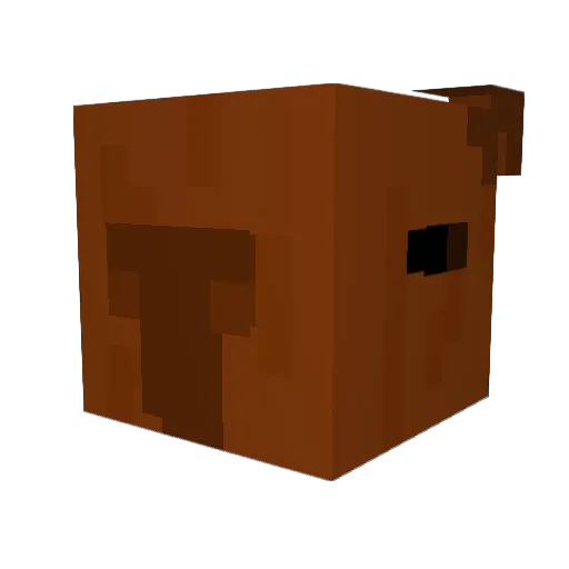 TheFlappyBara Minecraft avatar head, 3D render