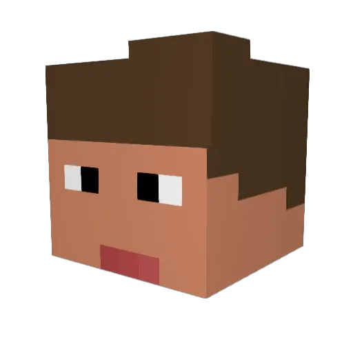 TheFlipYT Minecraft avatar head, 3D render