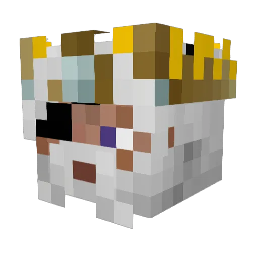 TheFlo0205 Minecraft avatar head, 3D render