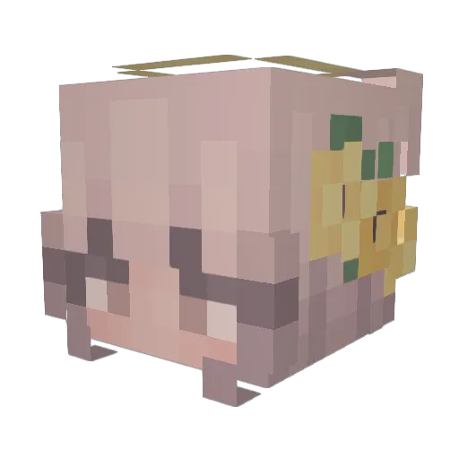TheFlox48 Minecraft avatar head, 3D render