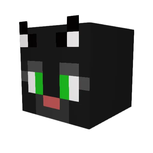 TheFluffyFatCat Minecraft avatar head, 3D render