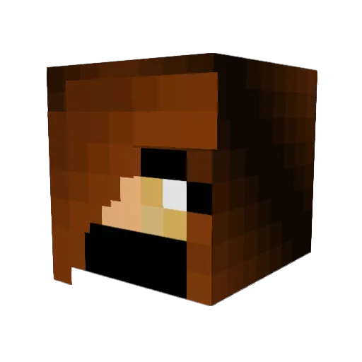 TheFlyingArcher Minecraft avatar head, 3D render