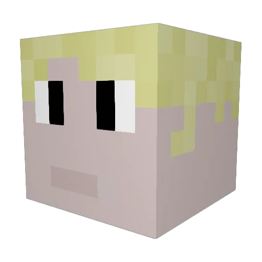 TheFlyingBird10 Minecraft avatar head, 3D render