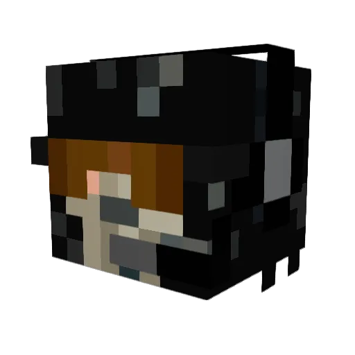 TheFlyngDuchman Minecraft avatar head, 3D render