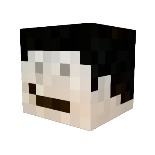 TheFonz1337 Minecraft avatar head, 3D render