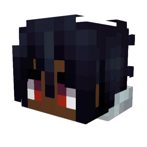 TheFoolBoy Minecraft avatar head, 3D render