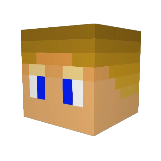 TheForewatcher Minecraft avatar head, 3D render