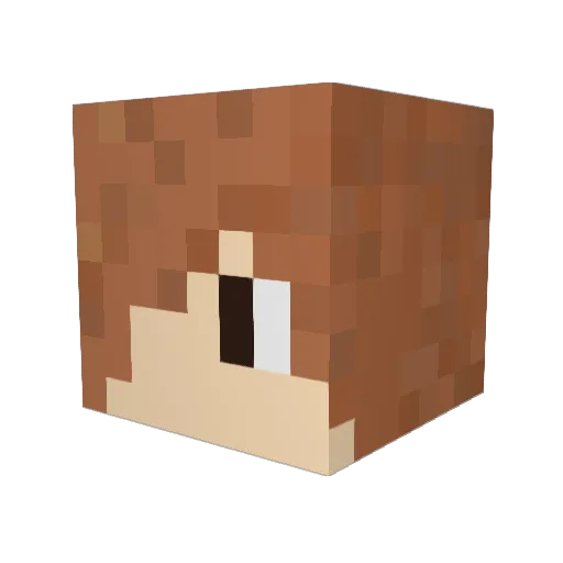 TheForgottenVI Minecraft avatar head, 3D render