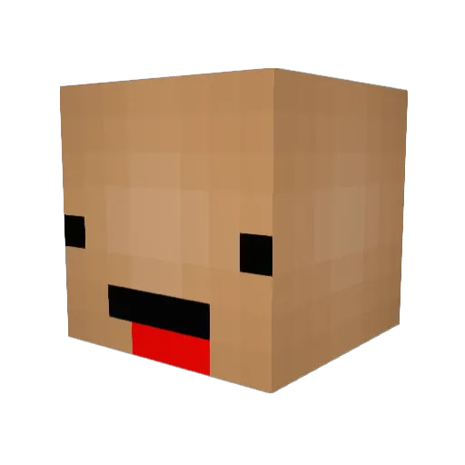 TheFortuneHunter Minecraft avatar head, 3D render