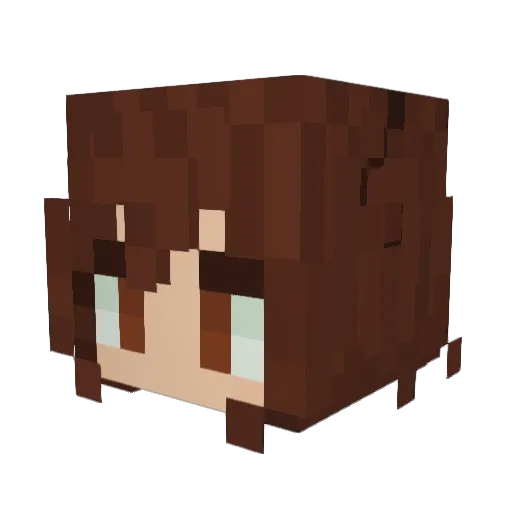 TheFourthWall Minecraft avatar head, 3D render